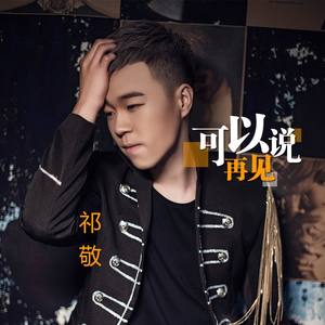 可以说再见