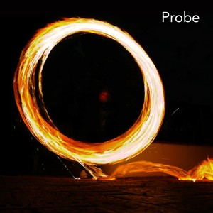 Probe