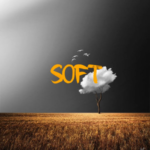 Soft