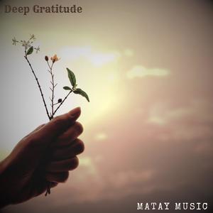 Deep Gratitude (feat. Sensory Meditation, Nina Nalo, Flame Timo & Jasper Whisper)