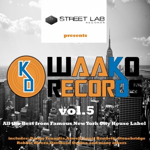 Streetlab presents The Best of Waako Records, Vol. 5