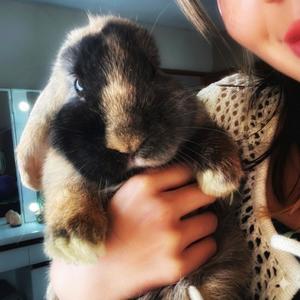 Las flores que te di en un bar de rock