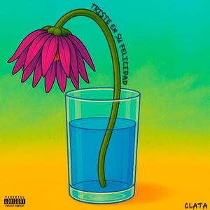 Triste en su felicidad (feat. 2000marks)