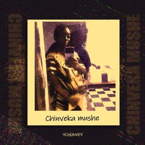 Chinveka mushe