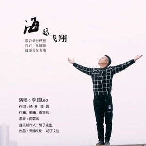 海鸥飞翔