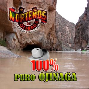 100% Puro Ojinaga