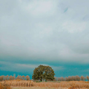 张小姐 (Acoustic)