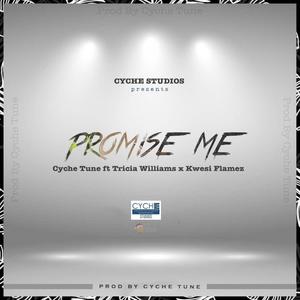 Promise Me (feat. Tricia Williams & Kwesi Flamez)