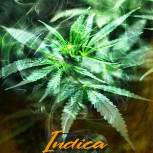 Indica Vibes (feat. Madi) (Explicit)