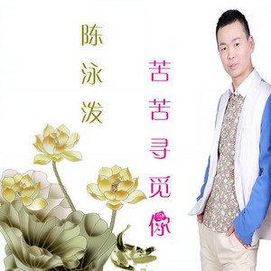 苦苦寻觅你