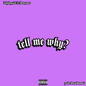 Tell Me Why? (feat. Dvnesnner) [Explicit]