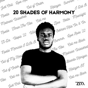 20 SHADES OF HARMONY