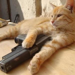 evil ahh beat (feat. killkso) (Explicit)