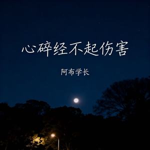 心碎禁不起伤害