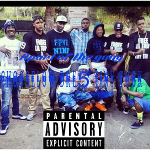 Apart of the gang (feat. Tiny tugk & Dre 5) (Explicit)