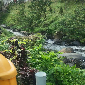 Cruisin’ Through Paradise