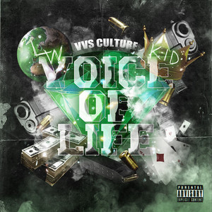 VOICE OF LIFE (Deluxe) [Explicit]