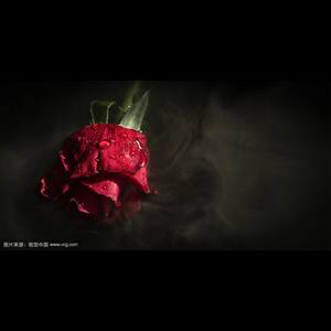 完（Feat.Channing）