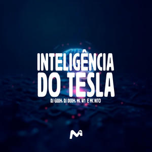 INTELIGENCIA DO TESLA (Explicit)