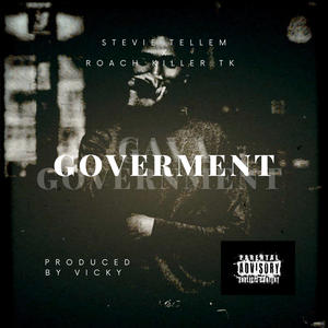 Gava Government (feat. Roach killer TK) [Explicit]