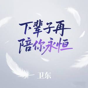 下辈子再陪你永恒