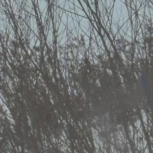 lugtreadflavoredpuke. (Explicit)