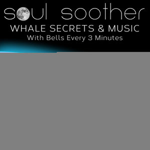 Whale Secrets And Music - With Bells Every 3 Minutes