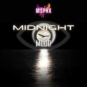 Midnight Mood (Explicit)