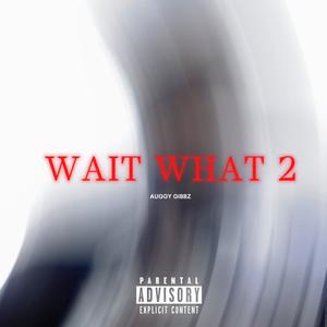 WAIT WHAT 2 (Explicit)