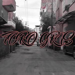 Toro Gris (feat. Génesis Ripper) (Explicit)