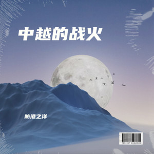 中越的战火