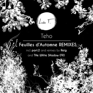 Feuilles d'automne (Reig|FR|Remix)