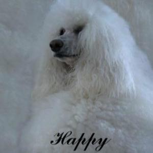 lusi please focus! (Explicit)