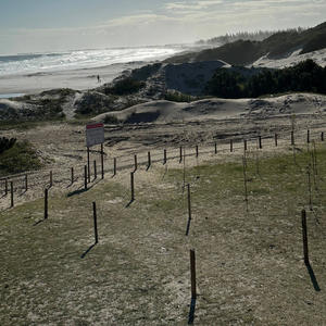 Anthem (feat. Vizcor)