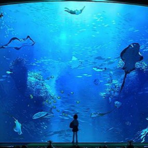 ti responder (Explicit)