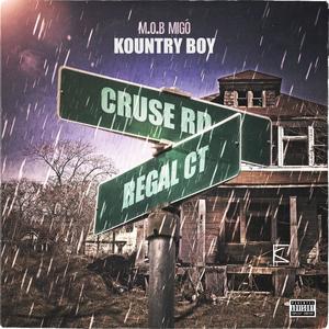 Kountry Boy (Explicit)