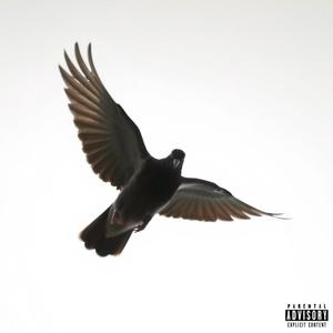 Lost The One I Was Fighting For (Explicit)