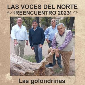 Las Golondrinas (Vivo Teatro San Martín)