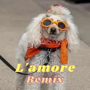 L'amore (Remix)