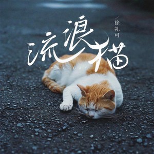 流浪猫 (伴奏)