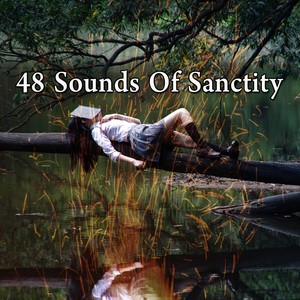 48 Sounds of Sanctity