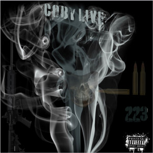 223 (Explicit)