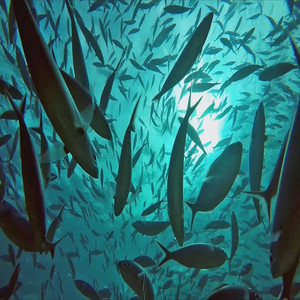 Relaxing Sleep Music ★108