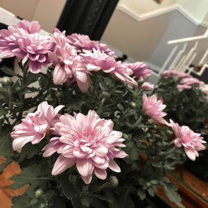 Lets Be Together Forever