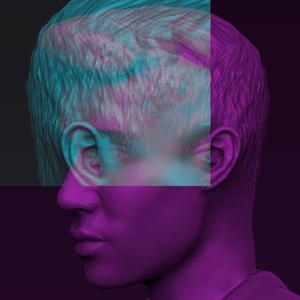 bieber fever(feat. FK Dame) (Explicit)