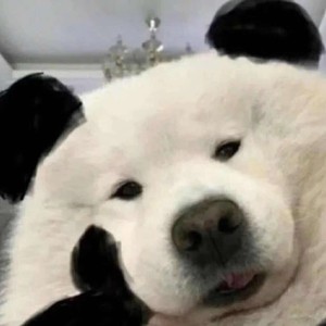 爱我就别伤害我