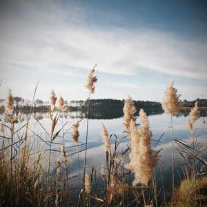 By the Lake