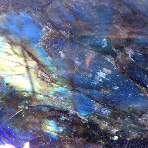Nervous Freedom[feat. Ian Zalles & Doug Marks] (Inst.)