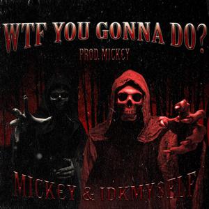 WTF YOU GONNA DO? (feat. IDKMY$eLF) [Explicit]