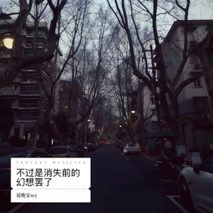 不过是消失前的幻想罢了 (Remix)